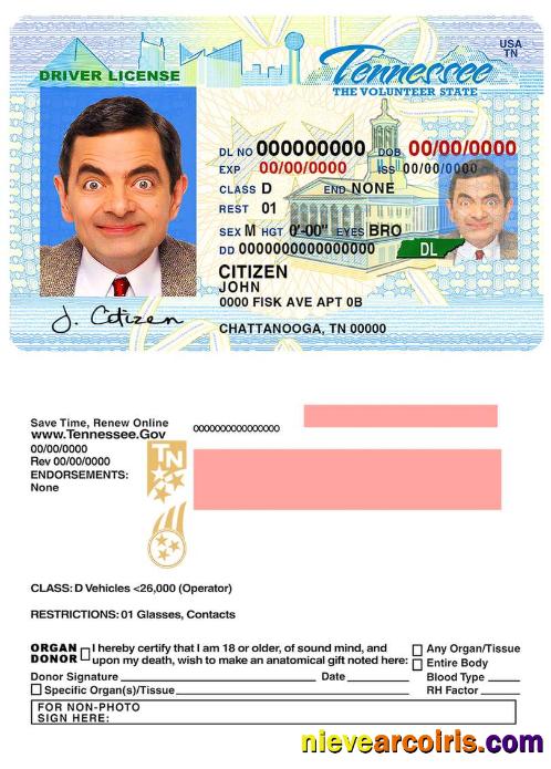 USA Tennessee driving license